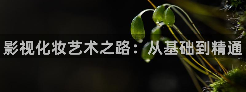 熊猫 电视：影视化妆艺术之路：从基础到精通