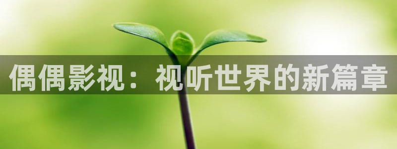 熊猫电影yy8y6