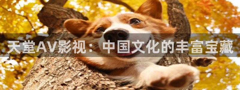 熊猫电影大全：天堂AV影视：中国文化的丰富宝藏