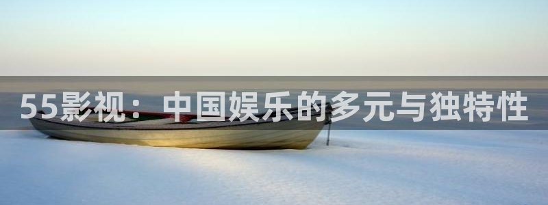 熊猫老师：55影视：中国娱乐的多元与独特性