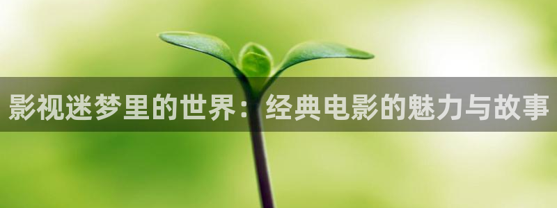 熊猫影院电影免费播放：影视迷梦里的世界：经典电影的魅力与故事