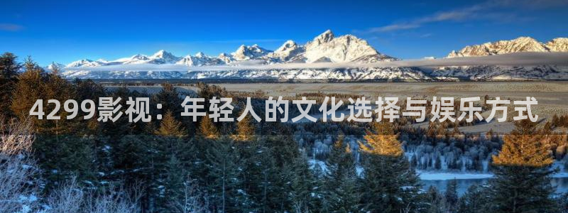 9.1熊猫电影网：4299影视：年轻人的文化选择与娱乐方式