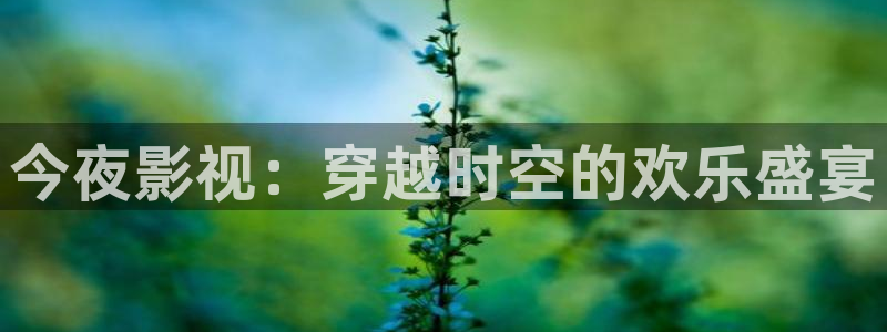 熊猫电影yy8y3全集在线观看