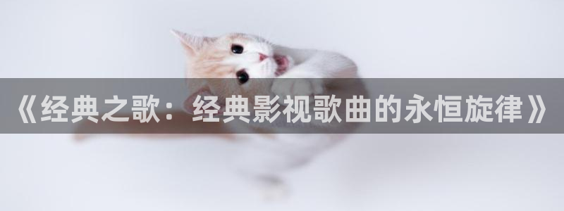 熊猫影视tv